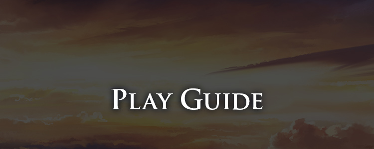 PLAY GUIDE